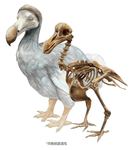 REDAO-数字资产的价值热土