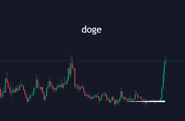比特币20000以上因时而动<strong></p>
<p>比特币火币</strong>，狗狗币引领？