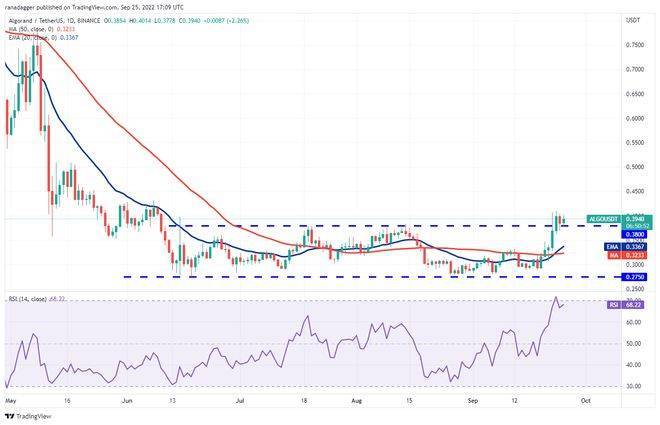 如果比特币价格稳定<strong></p>
<p>比特币火币</strong>，5种山寨币可能会看涨