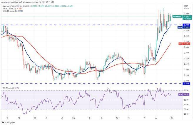 如果比特币价格稳定<strong></p>
<p>比特币火币</strong>，5种山寨币可能会看涨