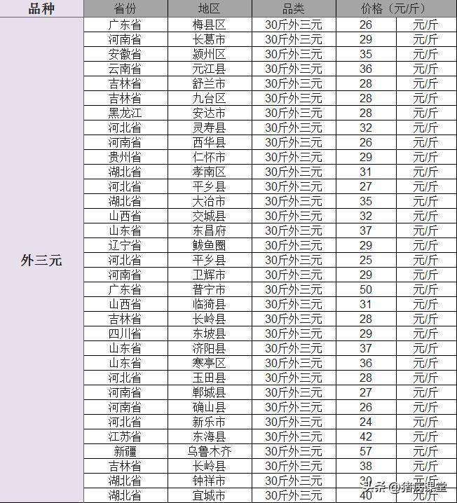 今日仔猪价格｜全国各地20-40斤仔猪价格行情<strong></p>
<p>比特币今日行情价格</strong>，金仔猪行情继续