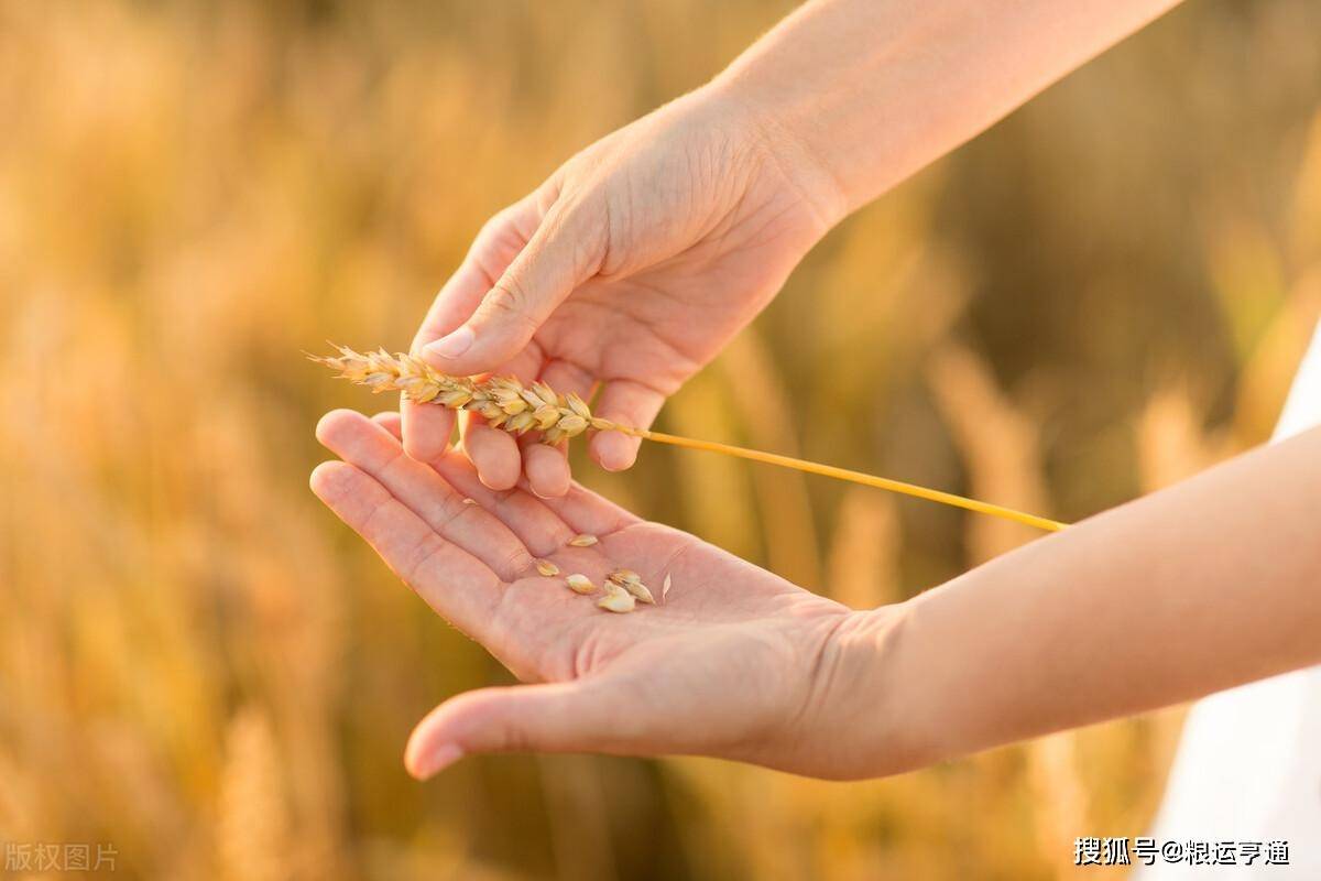 今日小麦价格行情<strong></p>
<p>比特币今日行情价格</strong>!8月29日