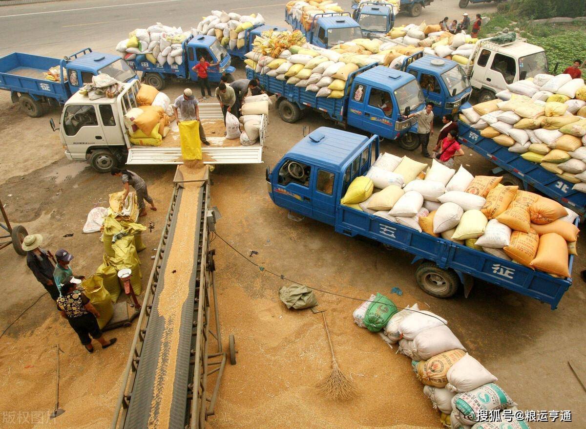 今日小麦价格行情<strong></p>
<p>比特币今日行情价格</strong>！8月28日