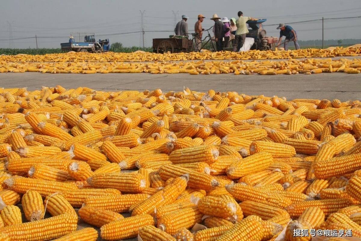 今日玉米价格行情<strong></p>
<p>比特币今日行情价格</strong>！8月29日