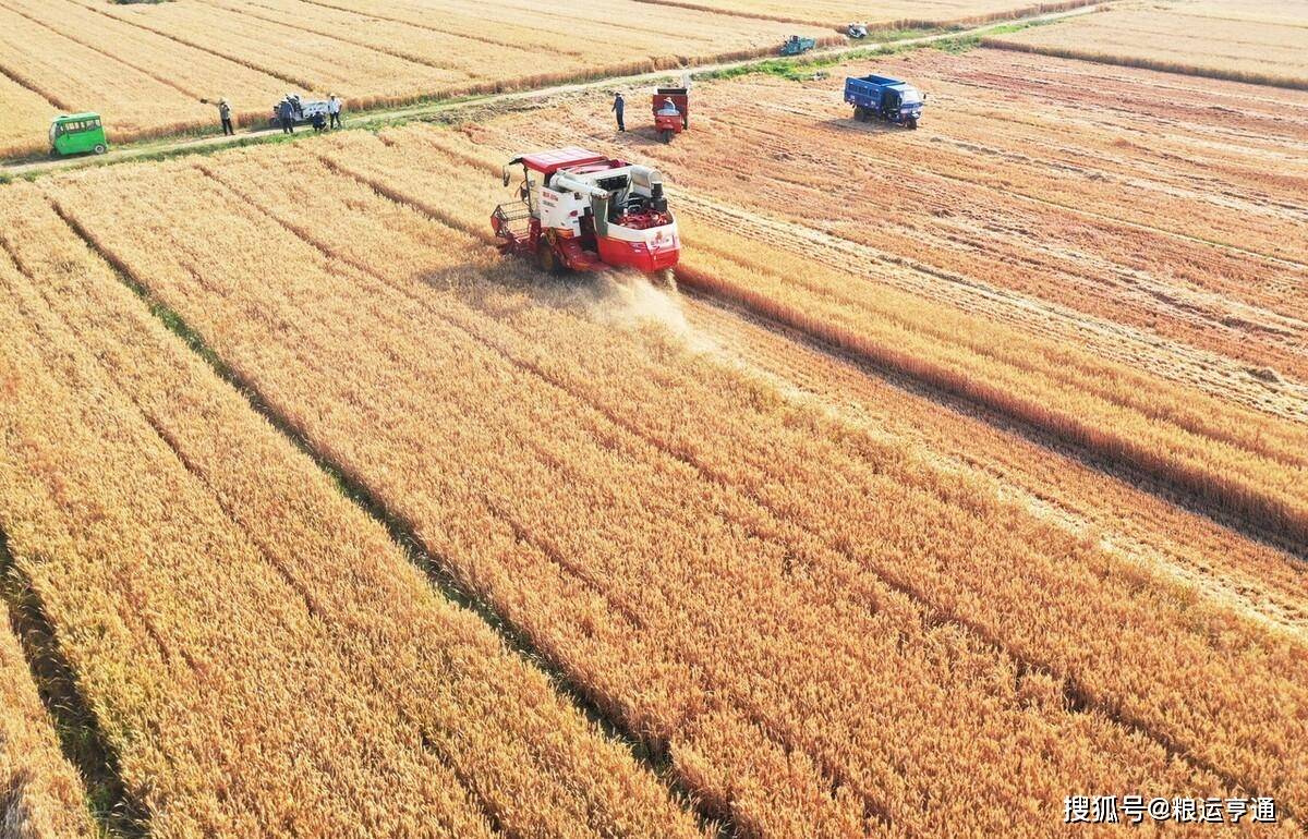 今日小麦价格行情<strong></p>
<p>比特币今日行情价格</strong>！8月10日