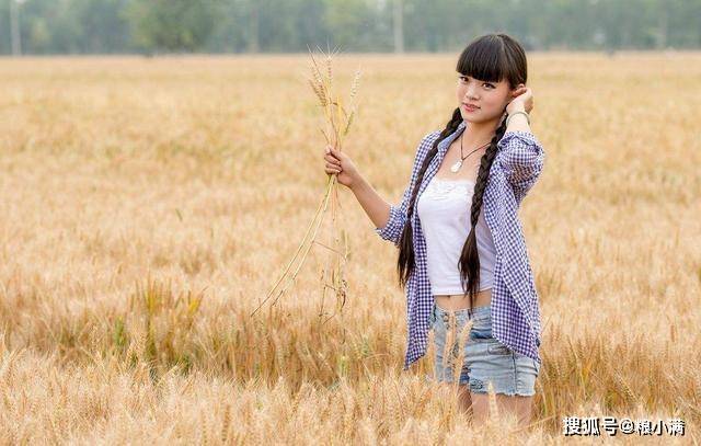 今日最新小麦价格行情！8月27日