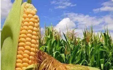 尿素价格继续下跌<strong></p>
<p>比特币今日行情价格</strong>！今日尿素价格行情2022年10月10日