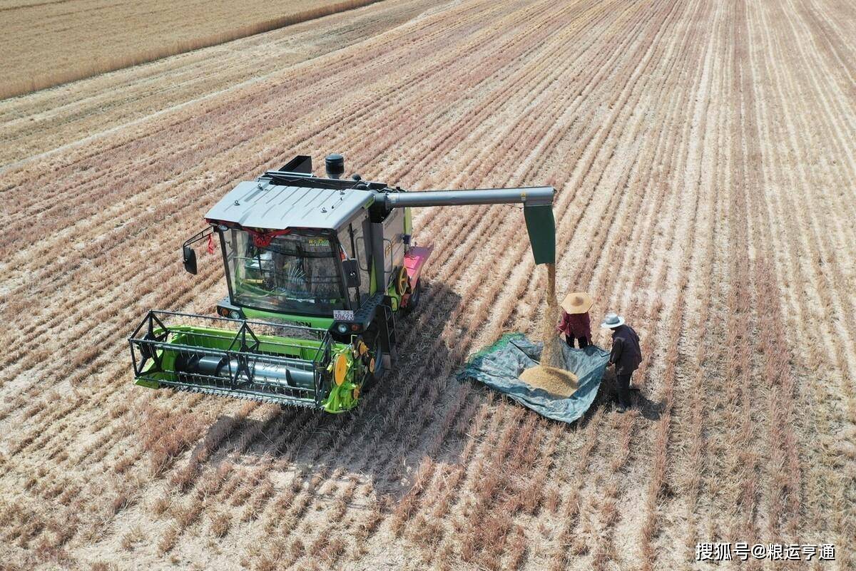 今日小麦价格<strong></p>
<p>比特币今日行情价格</strong>！8月20日最新行情