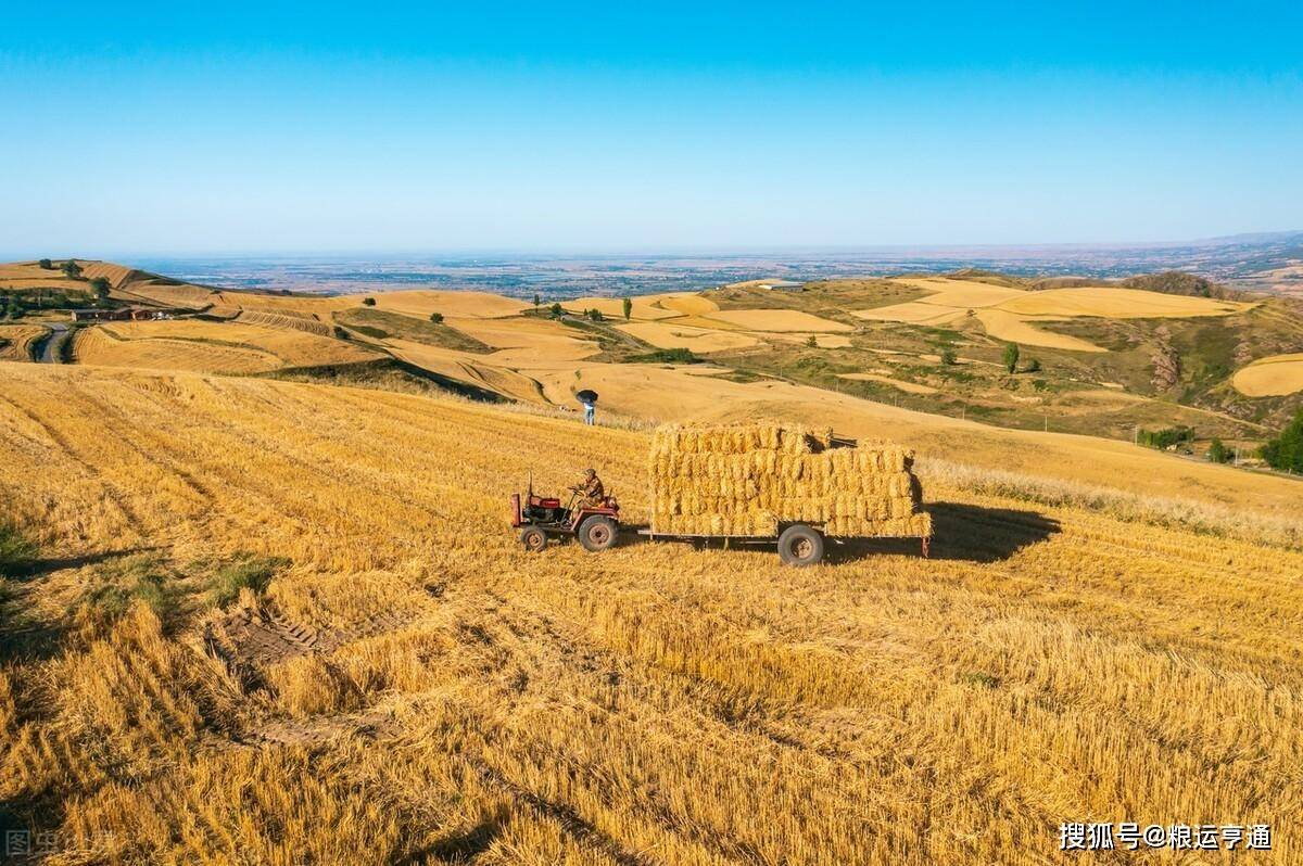 今日小麦价格<strong></p>
<p>比特币今日行情价格</strong>！8月20日最新行情