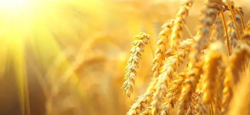 今日<strong></p>
<p>比特币价格今日行情</strong>，全国尿素价格行情2022年10月9日