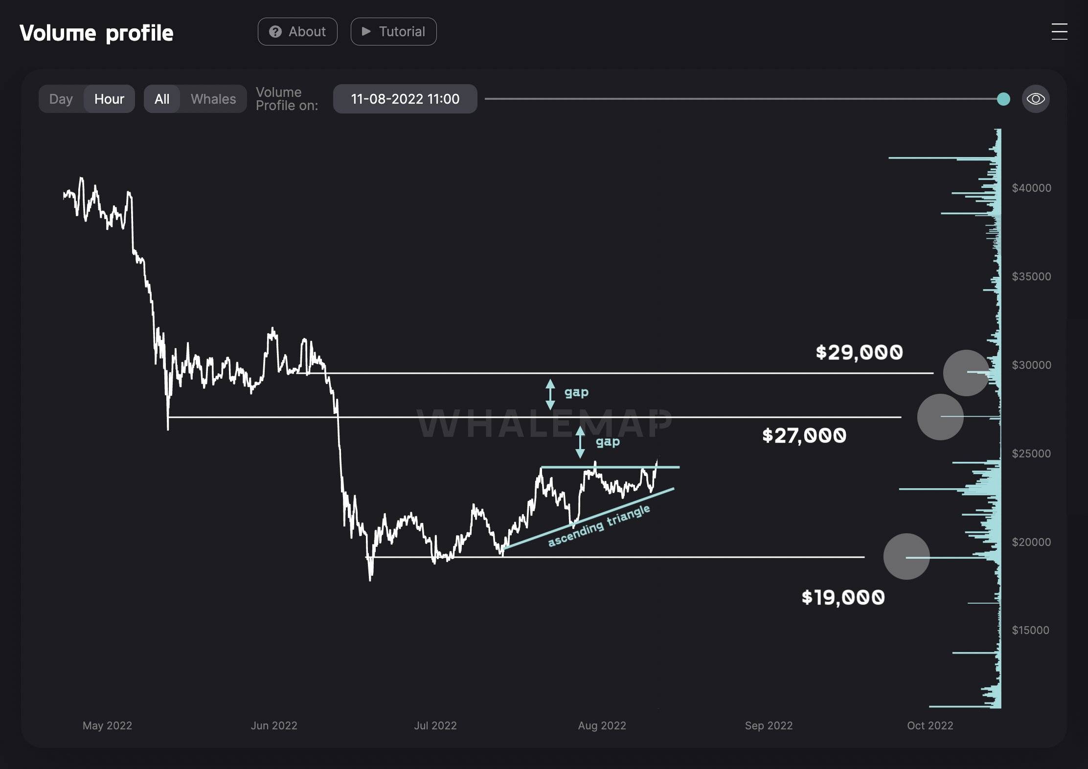贝莱德比特币基金的推出将 BTC 价格推向 25,000 美元