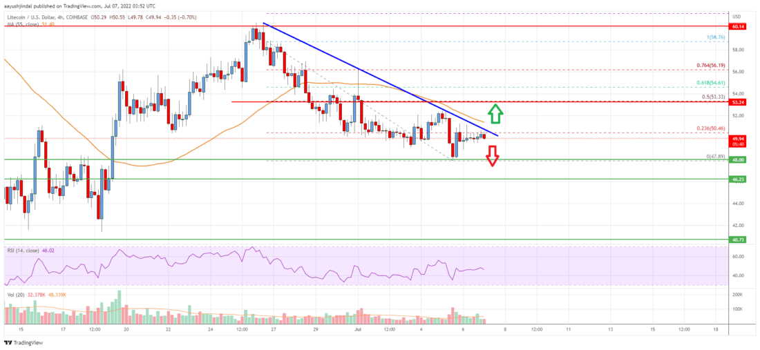 莱特币(LTC)价格分析:如果突破50美元<strong></p>
<p>莱特币行情</strong>，可能会反弹