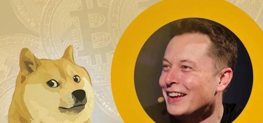 狗狗币的路为啥越走越歪<strong></p>
<p>狗狗币行情</strong>?为你讲述狗狗币的前世今生