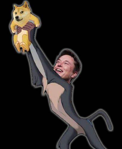 狗狗币的路为啥越走越歪<strong></p>
<p>狗狗币行情</strong>?为你讲述狗狗币的前世今生