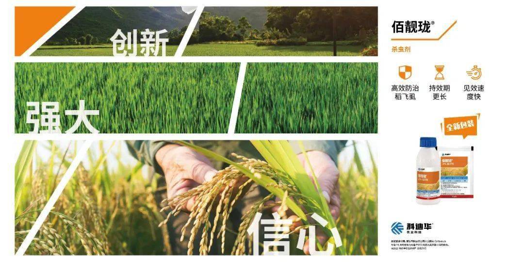 今日尿素价格，全线下跌！竟然跌成了这样！7月1日最新价格行情