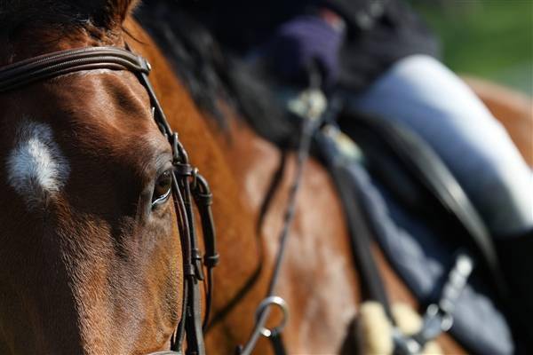 16499元<strong></p>
<p>eos价格</strong>！佳能全画幅微单EOS R6 Mark II发布：分辨力媲美5D4