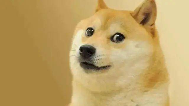 狗狗币是啥<strong></p>
<p>莱特币</strong>？为啥马斯克喜欢它？为啥在Twitter被收购后5天翻倍？