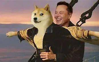 狗狗币是啥<strong></p>
<p>莱特币</strong>？为啥马斯克喜欢它？为啥在Twitter被收购后5天翻倍？