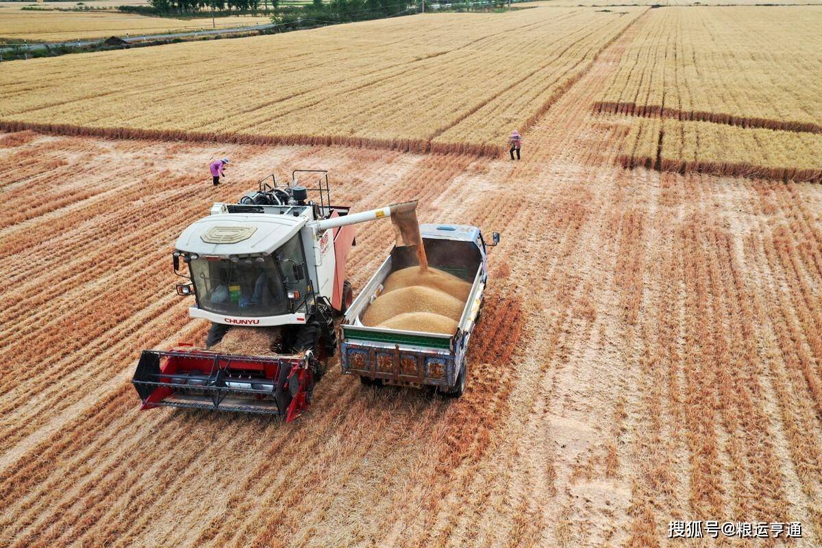 小麦价格“涨翻天”<strong></p>
<p>比特币最新价格行情</strong>！10月14日最新行情