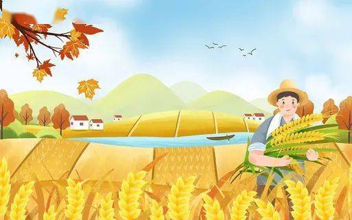 11月2日 尿素价格上调10-30元/吨！钾肥、磷铵、复合肥、最新价格行情！