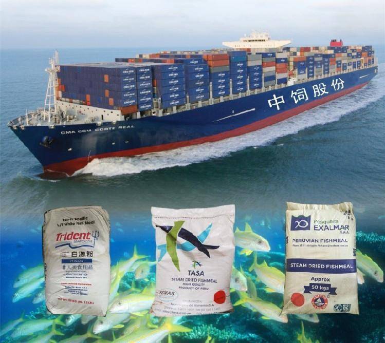 11月9日进口鱼粉行情动态