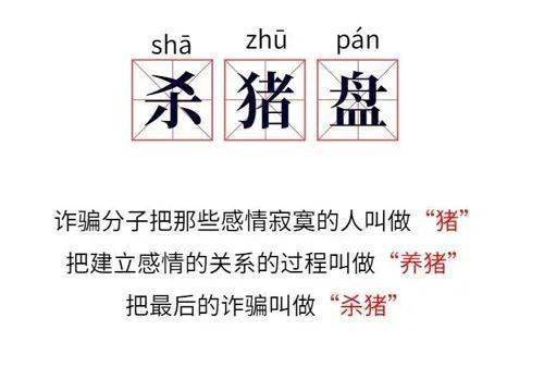 被骗1.7万美元：芝加哥华人亲述“杀猪盘”遭遇