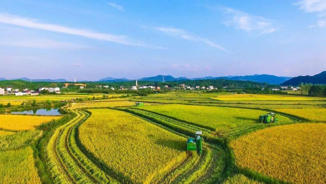 今日尿素价格，集体“大幅”上涨！11月11日尿素行情
