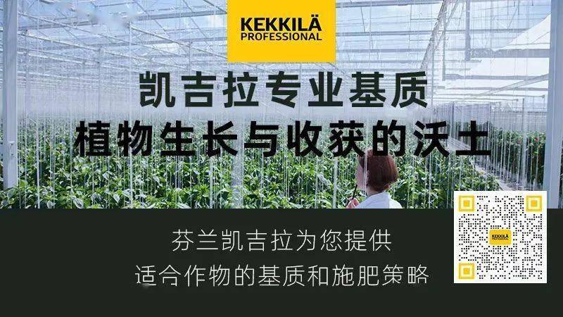 最新，没停！今日尿素价格，继续上涨！11月17日全国尿素价格行情