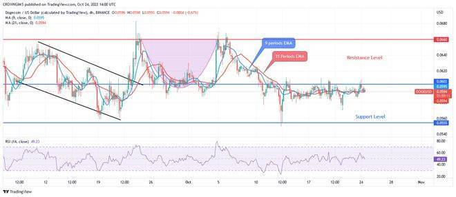 10 月 24日今天的狗狗币价格预测：DOGE 的价格区间为 0.060 美元