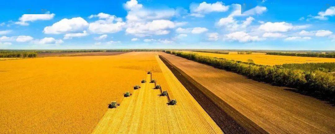 最新<strong></p>
<p>fil币价格今日行情</strong>!今日尿素价格行情!2022年12月7日