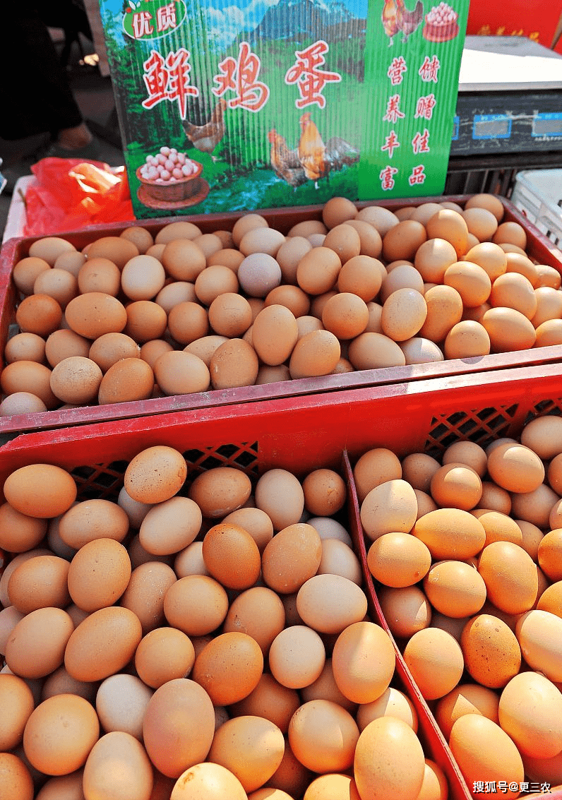 元旦将至<strong></p>
<p>eos行情</strong>，生猪、鸡蛋联袂下跌，豆粕行情震荡，玉米即将触底！