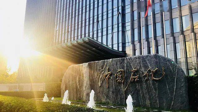 中国石化去年净赚663亿元