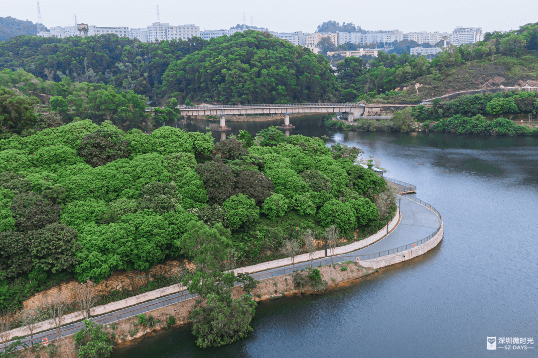 3月1日丨深圳大事件