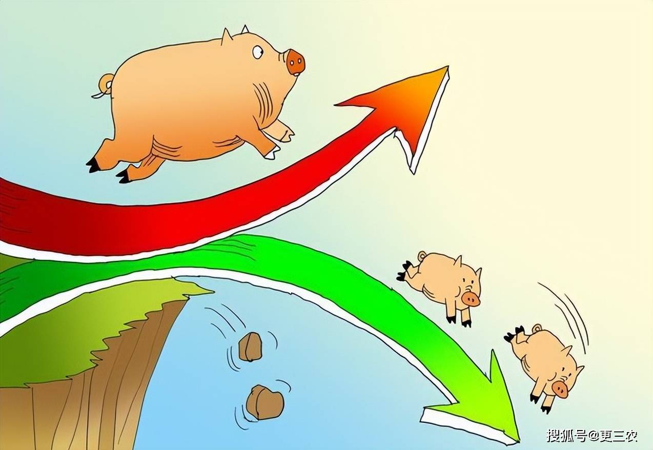 原油变化率-3.7%！4月29日<strong></p>
<p>三地原油变化率</strong>，变价后汽柴油、生猪价格，发生了啥？