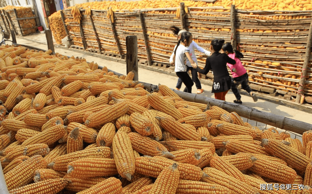 油价“变脸”预警<strong></p>
<p>现货原油</strong>！5月6日生猪、豆粕、淘鸡、玉米价格！有何变化