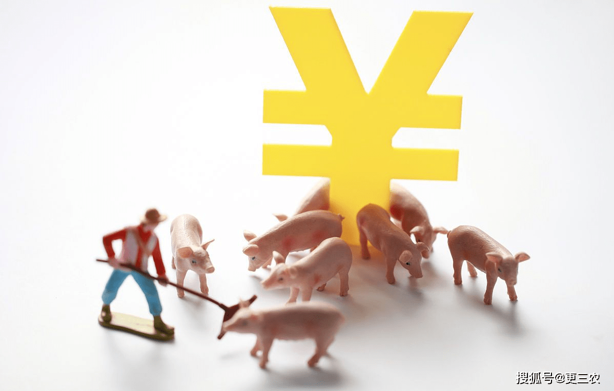 今晚降价！5月16日<strong></p>
<p>原油价</strong>，油价下调近3毛，猪价“近弱远强”，发生了啥