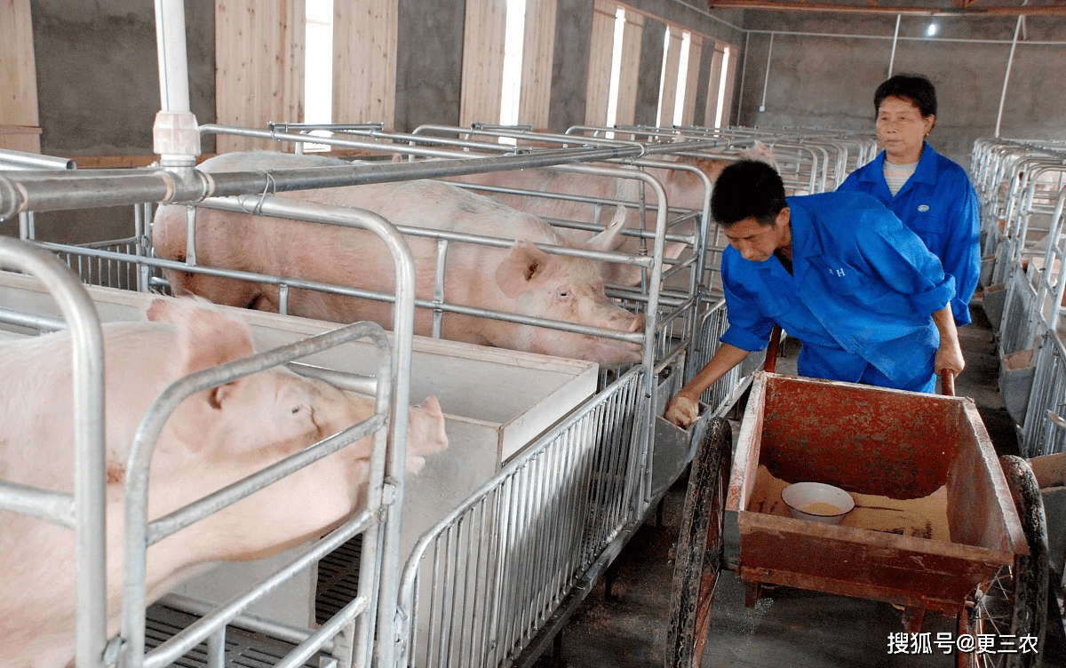 今晚降价！5月16日<strong></p>
<p>原油价</strong>，油价下调近3毛，猪价“近弱远强”，发生了啥