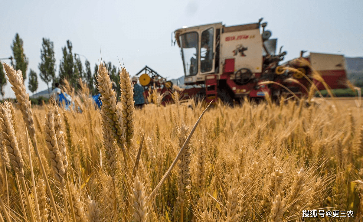 油价“跳水”<strong></p>
<p>原油价</strong>！5月16日调价后生猪、小麦、92/95号汽油！有啥变化