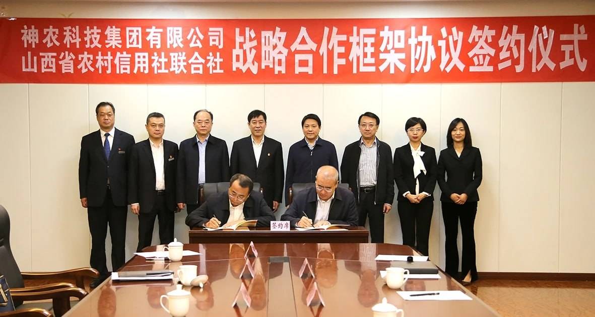 神农科技现货交易平台:开启农产品交易新纪元