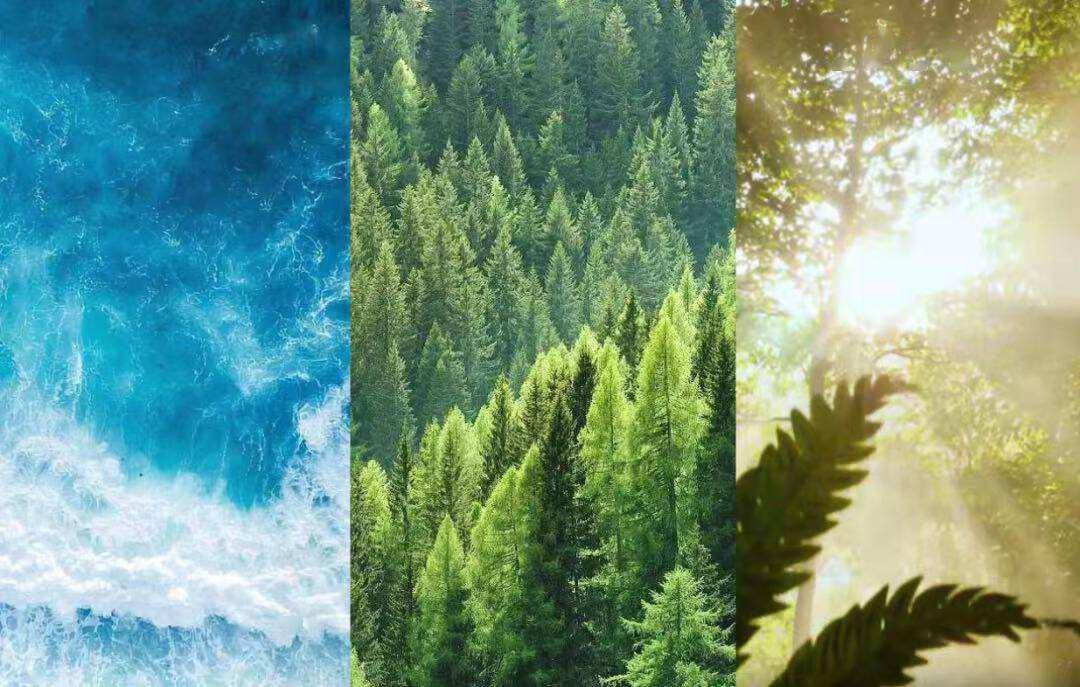 3300+品牌参展消博会!GET全球消费浪潮<strong></p>
<p>AR虚拟币</strong>,看这篇就够了!