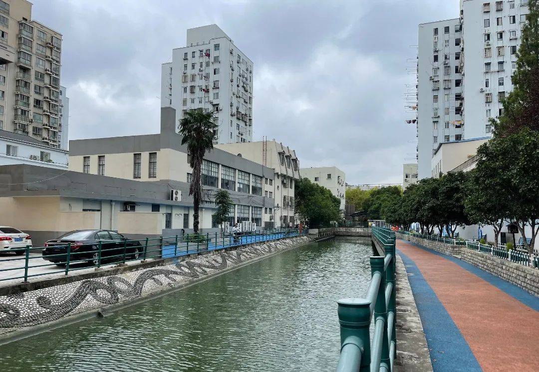 党建带团建<strong></p>
<p>虚拟币绿建</strong>，宝山这里增添一抹鲜艳的“自治绿”！