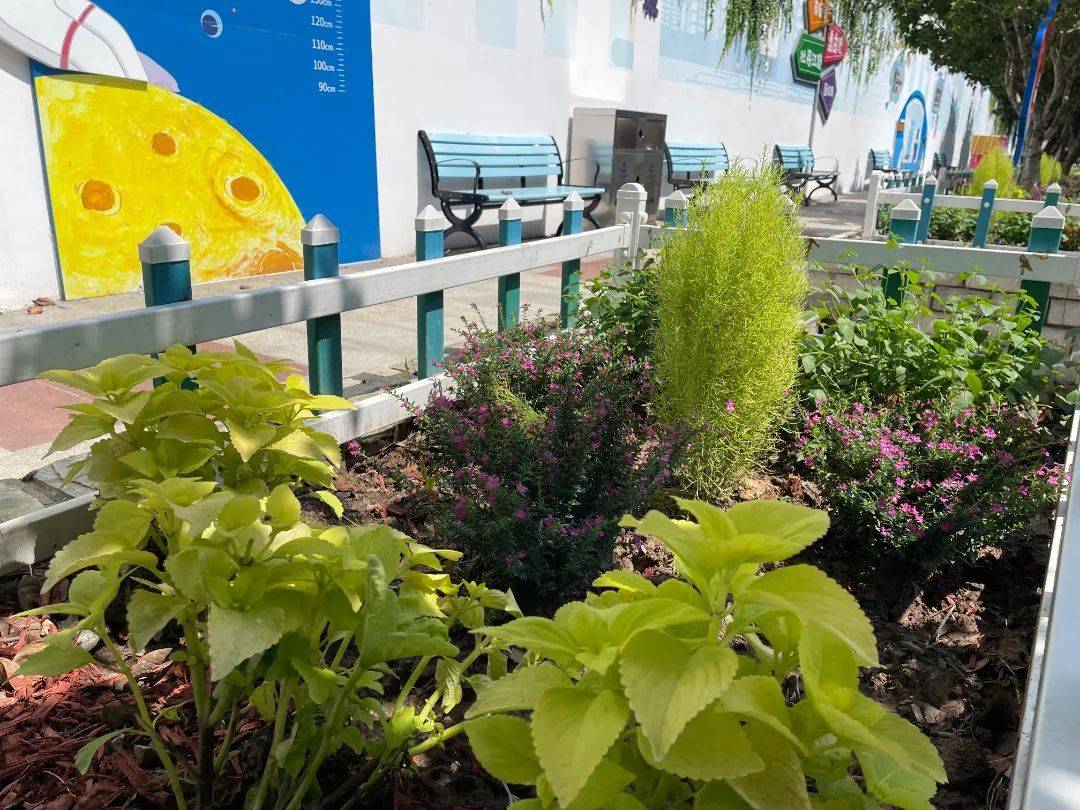 党建带团建<strong></p>
<p>虚拟币绿建</strong>，宝山这里增添一抹鲜艳的“自治绿”！