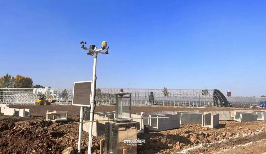 龙江森工山河屯｜“点绿成金”建基地<strong></p>
<p>虚拟币绿建</strong>，蔬菜直运“哈达市场”