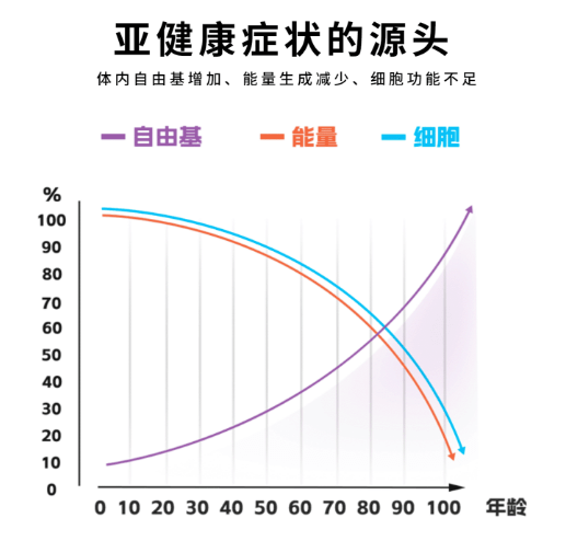 激活源头力量<strong></p>
<p>易派虚拟币</strong>，易力生引领年轻健康派