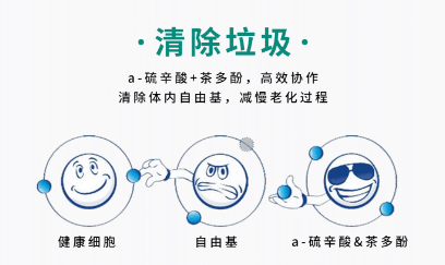 激活源头力量<strong></p>
<p>易派虚拟币</strong>，易力生引领年轻健康派