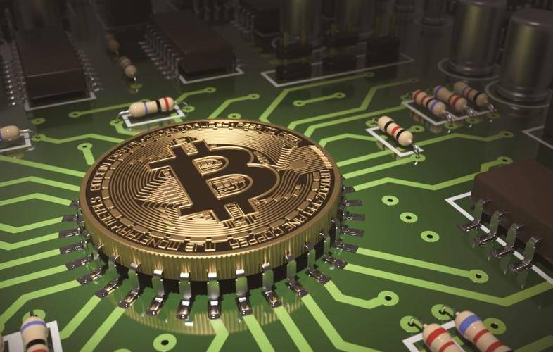 鹦鹉交易所：引领虚拟币行业新风向