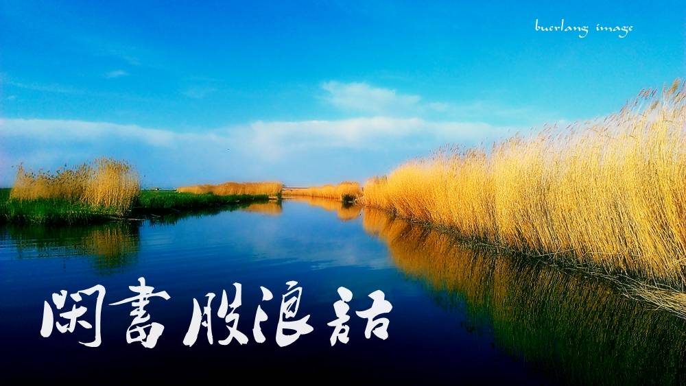 收评:再次反抽未遂引发跳水，3008得失又成关键