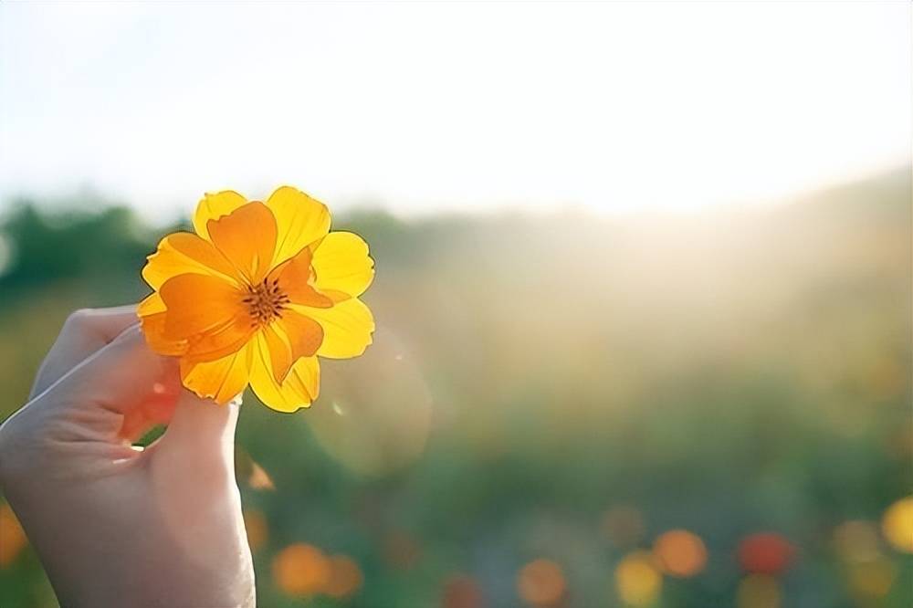 水滴筹平台抽成多少<strong></p>
<p>虚拟币抽成</strong>？合规吗？真实情况一一解答