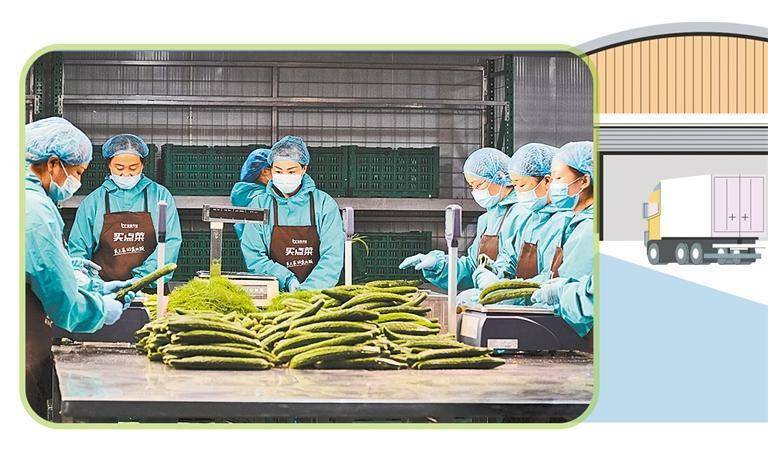 宝信物流提升供应链效率 编织城乡双向配送网络