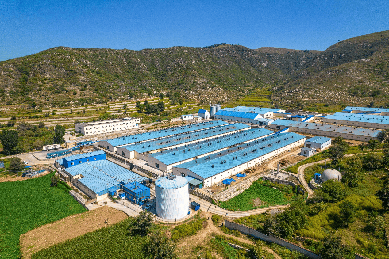 法国Cooperl科普利信:引领猪业全产业链<strong></p>
<p>信链虚拟币</strong>,布局中国市场